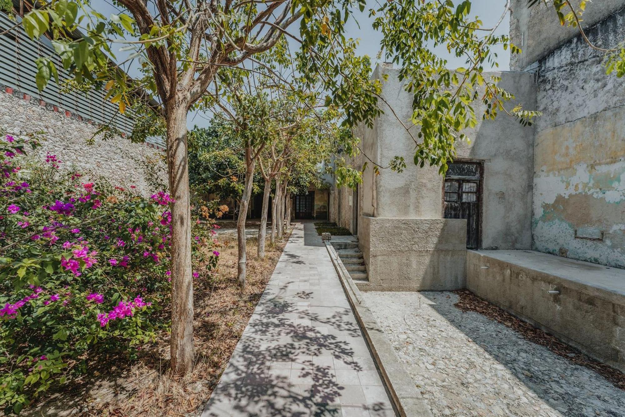 Habitacion Privada, 5 Min Catedral ميريدا المظهر الخارجي الصورة